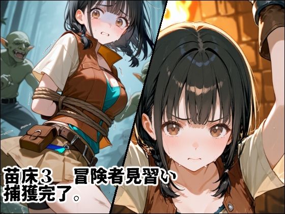 サンプル画像5:苗床捕獲 初クエストでゴブリンの大群に持ち帰られる少女たち(えすおー) [d_654249]