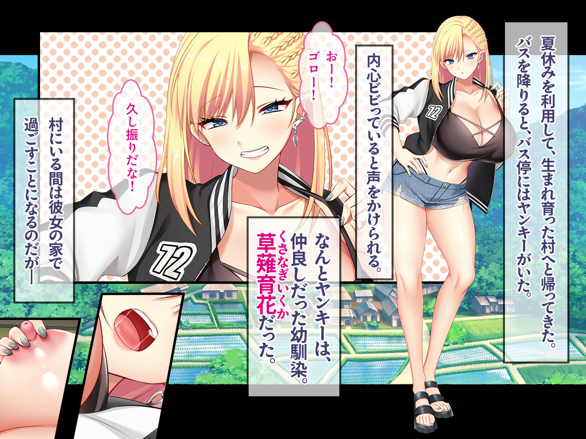 田舎の幼馴染は美人ヤンキーだが、実はエロいことに興味津々 画像1