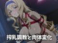 ヒロイン懐妊強●調教 セ〇リ〇オ〇コッ〇編全282枚