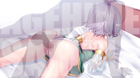 サンプル画像2:コッコロ(あげひめ) [d_656362]