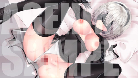 サンプル画像2:2B(あげひめ) [d_656363]