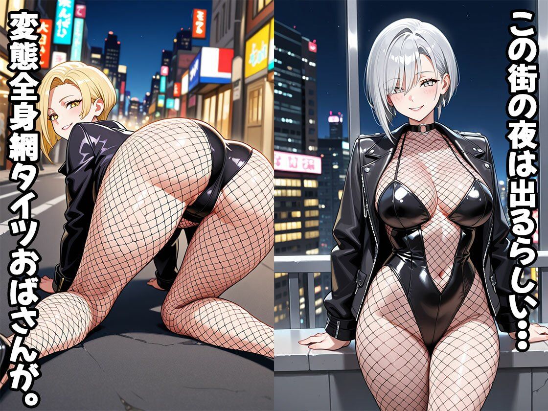 変態全身網タイツおばさん(CG100枚) 画像1