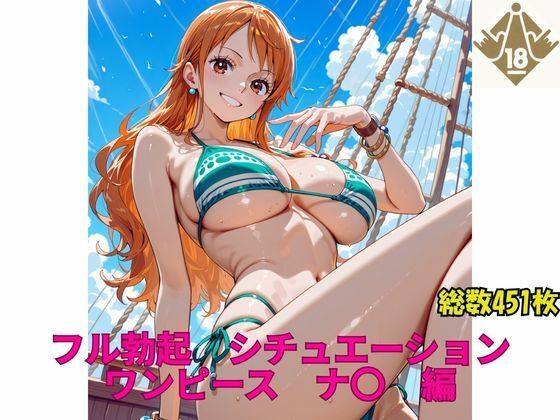 フル勃起シチュエーション  ワンピース  ナ〇  編 メイン画像