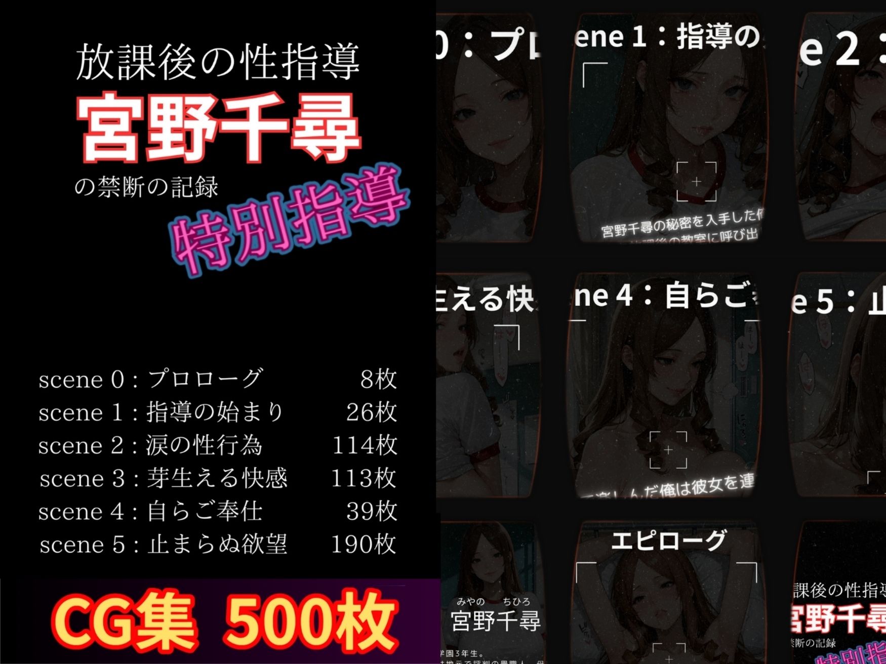 サンプル画像1:放課後の性指導 〜宮野千尋の禁断の記録-ハメ撮り(mapuememaru) [d_663040]