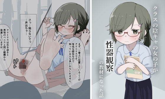 【クラスの陰キャの女の子が性器観察の教材になった話】セナ