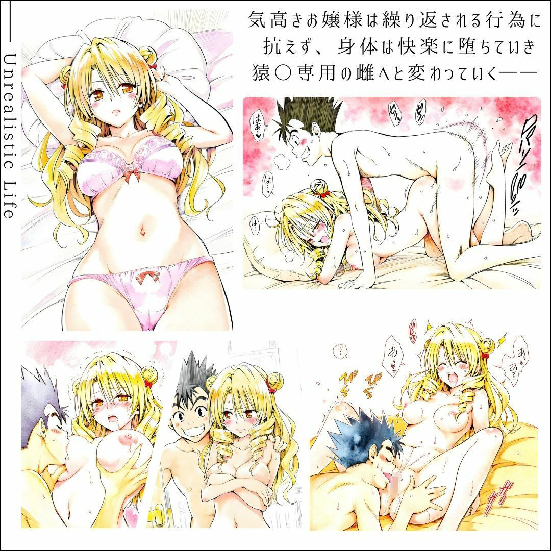 サンプル画像1:高慢令嬢、格下男子に抱かれて  快楽に堕ちたお嬢様の末路  天条院沙○(あんらいふ) [d_665194]