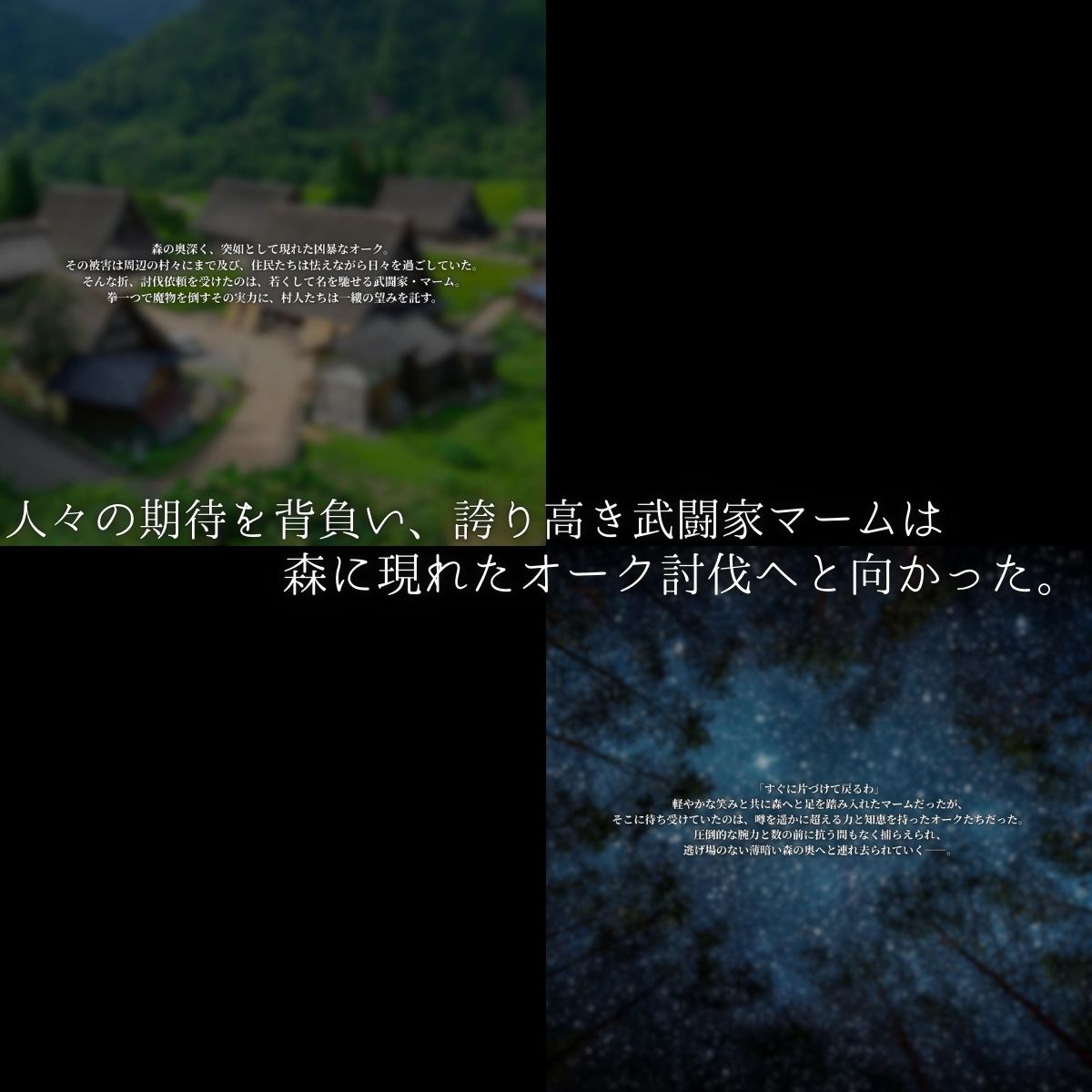 サンプル画像1:ORK QUEST 〜武道家の嫁入り〜(はらませてよ) [d_665372]