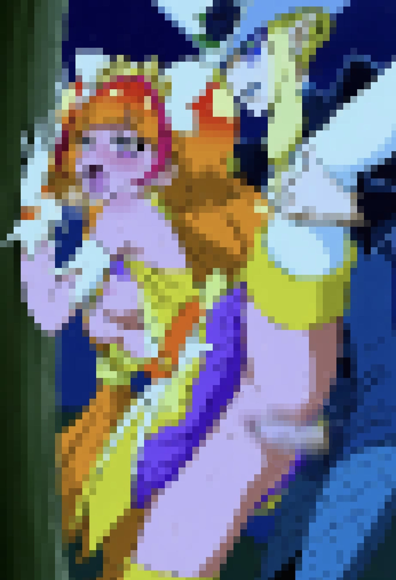 R-18キ○アトゥインクル2 画像5