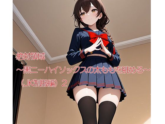 絶対領域〜黒ニーハイソックスの太ももを眺める〜（JK制服編）2縦型の画像