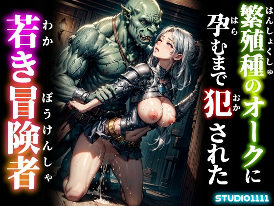 d_668141｜繁殖種のオークに孕むまで犯●れた若き冒険者【studio1111】