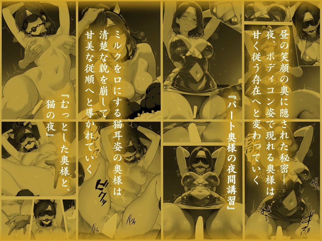 サンプル画像5:隠れM女さんの刷り込み学習録2 〜清楚な顔が崩れる程の淑女達の奉仕プレイ集〜(マタタイ補完室) [d_669284]