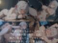ヒロイン懐妊強●調教 ア〇リ〇編全363枚