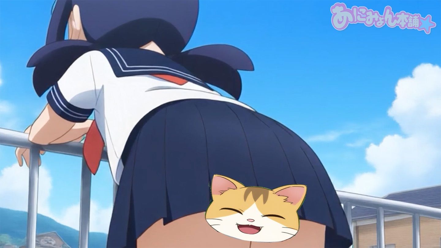 【フルボイスアニメ】サッカー応援中にえっちな風でパンチラしちゃってる女の子たちΣ（’？？？’） 画像6