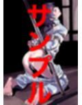 化物語  SM緊縛