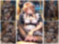 コスプレ性活5