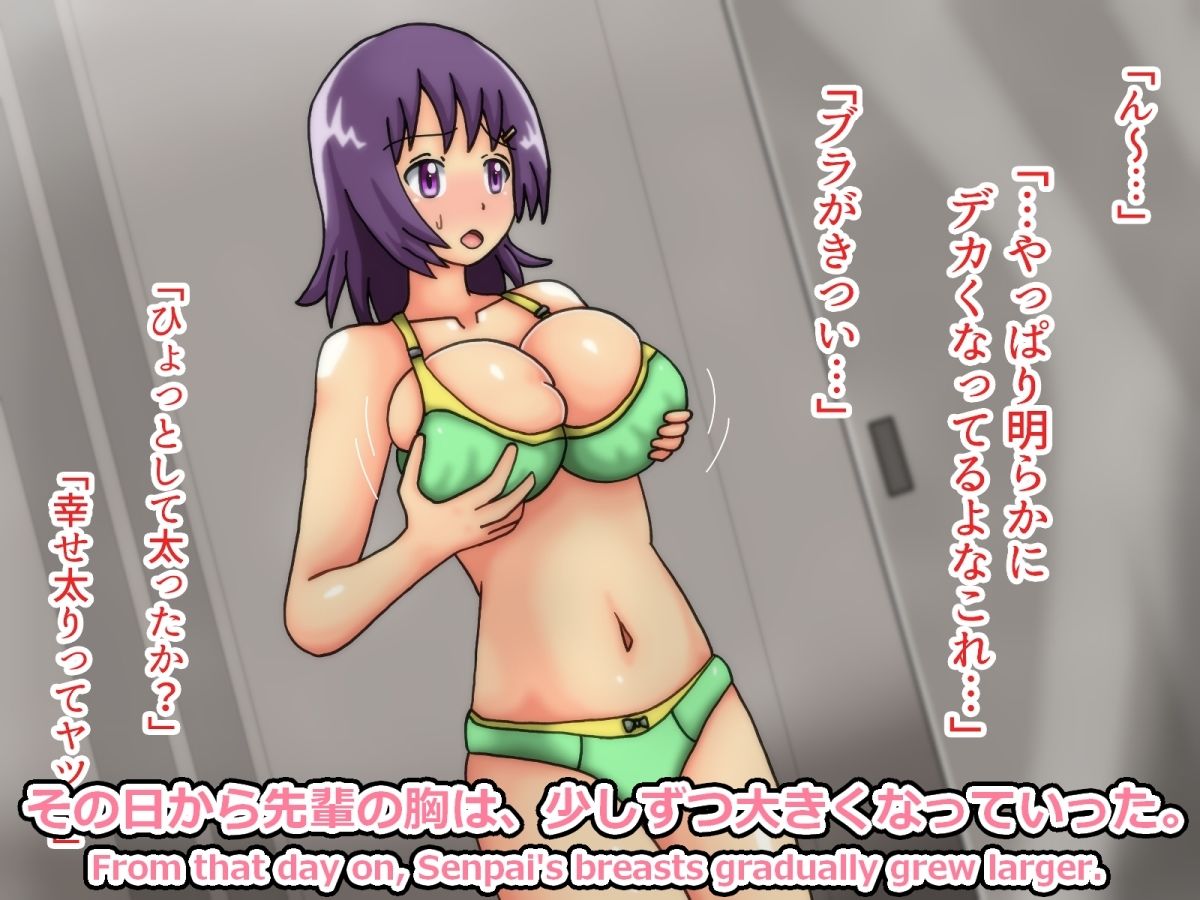 アケミ先輩の膨乳日記 第1集 画像2