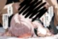 ヒロインえっち  よ〇かしのうた  七草ナ〇ナ