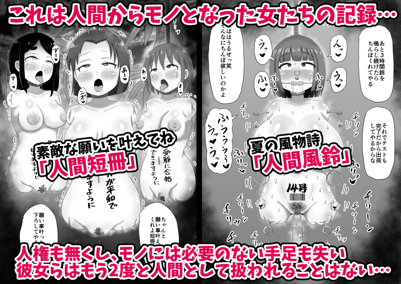 人間からモノになった女たち 画像2