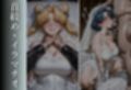 キモおじと結婚させられ快楽調教 〜美少女戦士編〜