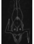 黒よりも黒いエロティックホラー黒戯絵集「マネキンポーズ2」