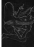 黒よりも黒いエロティックホラー黒戯絵集「マネキンポーズ2」