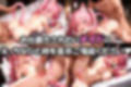 拾われネコミミメイドのニアかまって欲しくてついつい悪戯しちゃうメイドがたっぷりおしおきえっちされちゃうお話