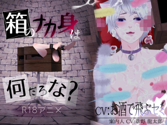 箱のナカ身は何だろな？〜猫〜[ぷれい☆る〜む]