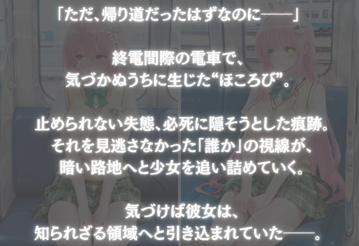 帰宅中にお漏らししたヒロインに遭遇した話〜vol.3〜 画像1