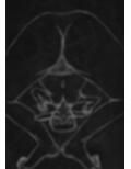 黒よりも黒いエロティックホラー黒戯絵集「マネキンポーズ3」