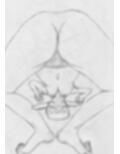 黒よりも黒いエロティックホラー黒戯絵集「マネキンポーズ3」
