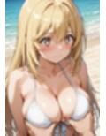 しょくほうまとめ