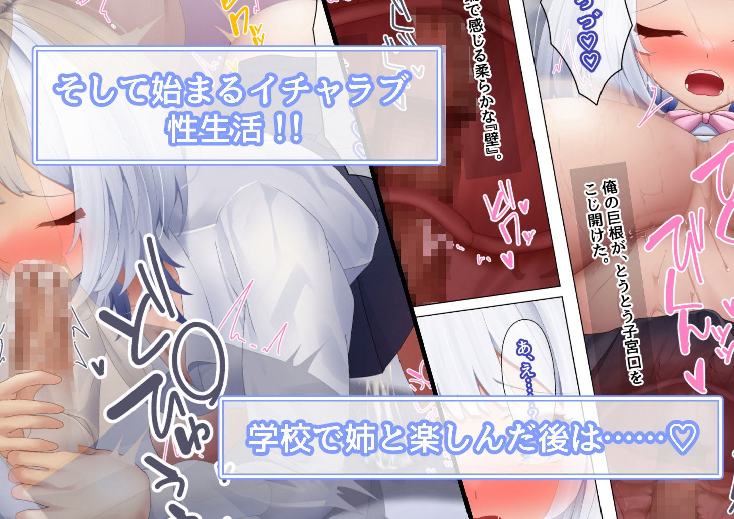 サンプル画像2:学園の巨乳姉妹をセックス三昧の果てに孕ませるまで 〜心の読める姉と性欲狂いの妹〜(たえらば) [d_680228]