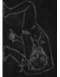 黒よりも黒いエロティックホラー黒戯絵集「マネキンポーズ4」