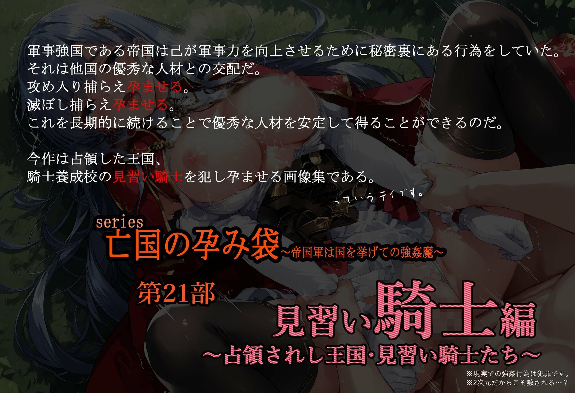 サンプル画像1:［亡国の孕み袋］ 〜帝国軍は国を挙げての強●魔〜   第21部 見習い女騎士編 〜占領されし王国、見習い騎士たち〜(主菜館) [d_681310]