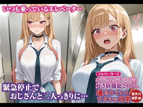 エレベーターでオジさんおチ〇ポに好き放題犯〇れて、壊されていくワタシの日常 喜多川海夢編 画像1