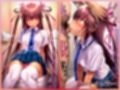 犯●れヒロイン 〜処女痴○拉致○行強○ファイル5 水城ゆ○かぜ〜