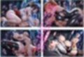 僕のえっちなD×Dお姉さん達の緊縛盛り  〜えっちなD×Dお姉さんを全員縛ったよ〜
