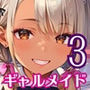 ギャルメイドこそ、至高です！！〜メイドはギャルに限るんです！！〜3【厳選CG240枚収録】