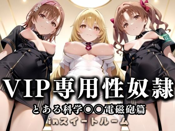 d_686595｜スイートルームVIP専用性処理係──快楽提供ルームサービス。  とある科学の超電磁砲編【性春みるく工房】