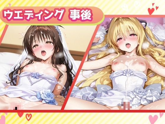 サンプル画像5:キセカエヒロインコレクション_結城美柑/金色の闇(ミルクスパーク) [d_686970]