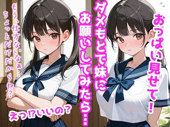 発育のイイ妹とハメたおす夢のような毎日 画像1