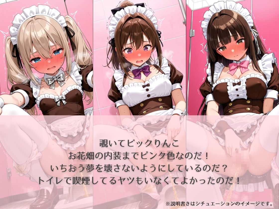 aki●a no maid no toilet〜のぞき＆突入＆催●シチュCG集〜 画像2