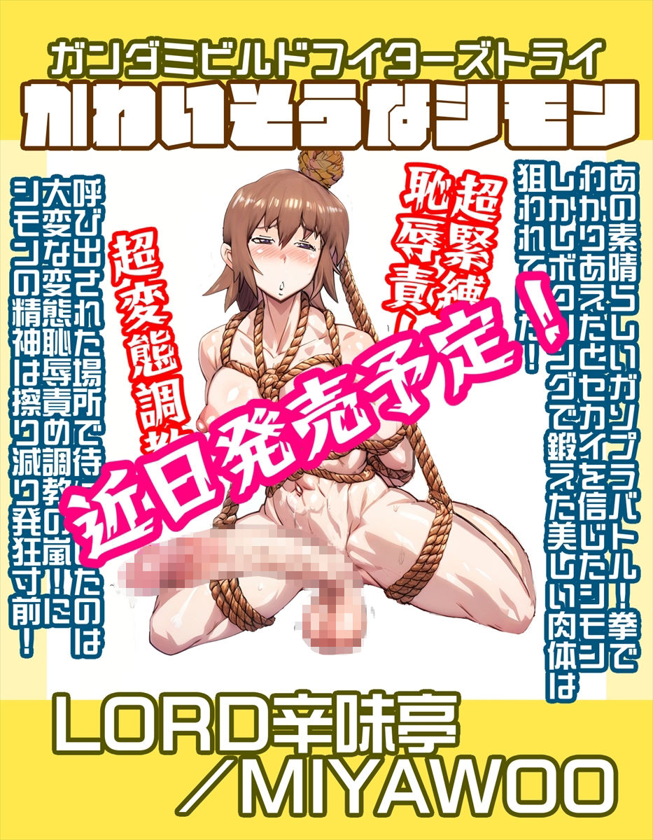 サンプル画像5:機動戦士ガンダミZZトップレス＋Gクアックス(LORD辛味亭) [d_690275]