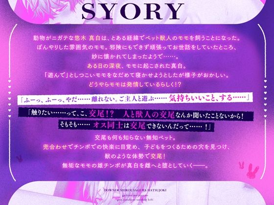 《Live2Dアニメ》ダウナー白ウサギは発情期〜ガチ雄♂無知ペットの生ハメ強引種付け交尾〜 サンプル1