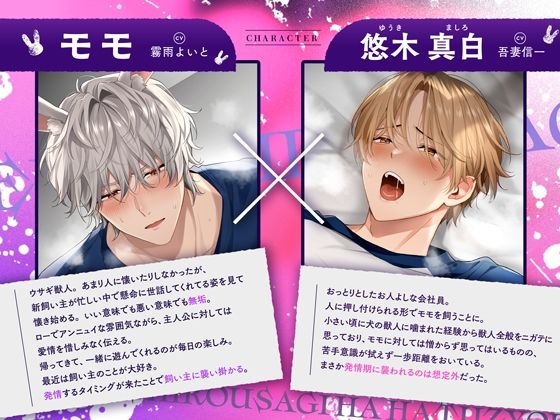 《Live2Dアニメ》ダウナー白ウサギは発情期〜ガチ雄♂無知ペットの生ハメ強引種付け交尾〜 サンプル2