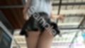 女子アナになった二階堂沙耶・早朝のニュース番組の冒頭でミニスカートでダンスすることを業務命令で強要される・ダンスVer.2:Vol.06『ただの話題作りとのことで電源OFF（のはず）のカメラが4台、ローアングルから彼女のスカート内を覗き込むように設置されている:PV06_ゼブラ柄フルバックパンティで扇風機風チラ』