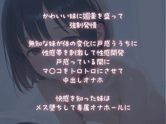 【大容量500枚】絶対服従！いもうと発情オナホール1