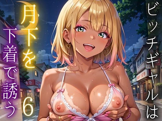 ビッチギャルは月下を下着で誘う6・260枚【ルビーの瞳】
