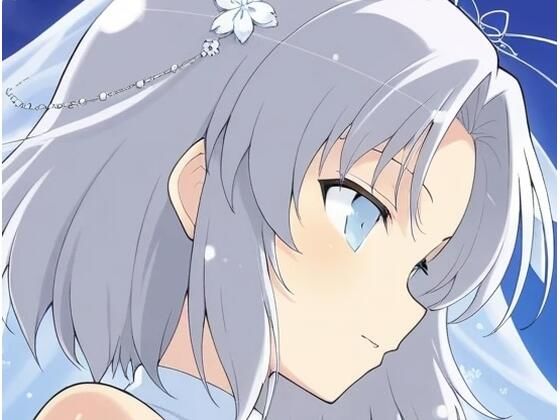 虹かけ誌   閃乱カグラ  イラスト集3   雪泉【九情承太郎商店】