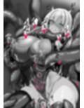 戦姫捕獲日記